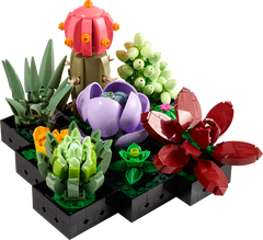 LEGO 10309 Botanicals Succulents