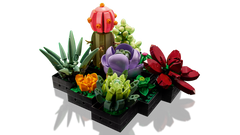 LEGO 10309 Botanicals Succulents