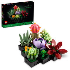 LEGO 10309 Botanicals Succulents