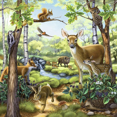 Ravensburger Forest Zoo & Pets 3x49 Piece