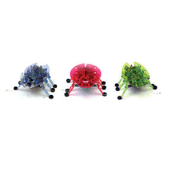 HEXBUG Beetle Assorted Colours