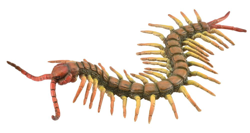 Collecta Centipede (Yellow)