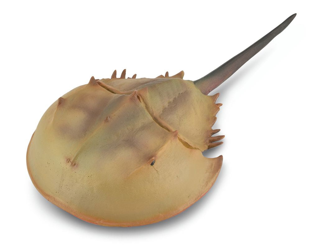 Collecta Horseshoe Crab (Grey)