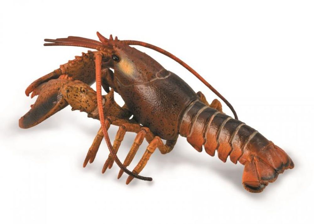 Collecta Lobster