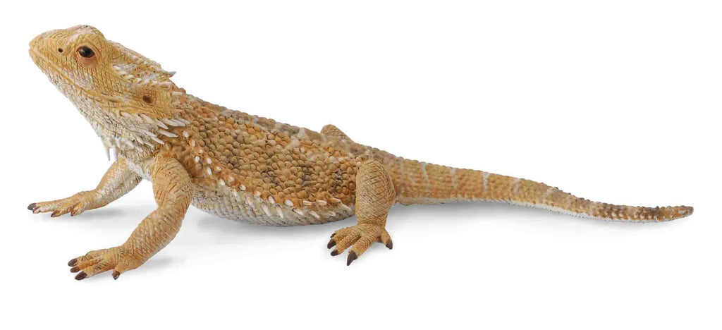 Collecta Bearded Dragon Lizard Figure (Yellow)