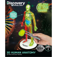 Discovery Mindblown 3D Human AnaTOMY Kit