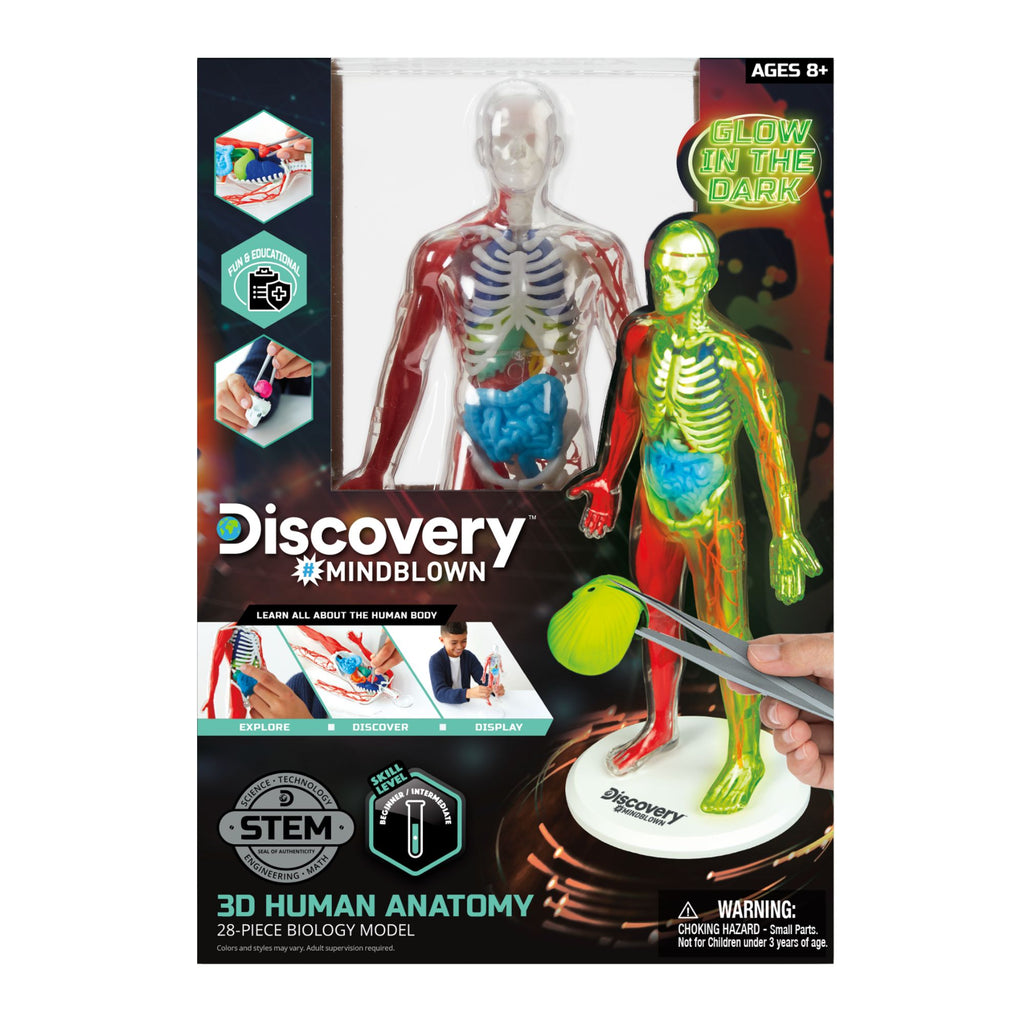 Discovery Mindblown 3D Human AnaTOMY Kit