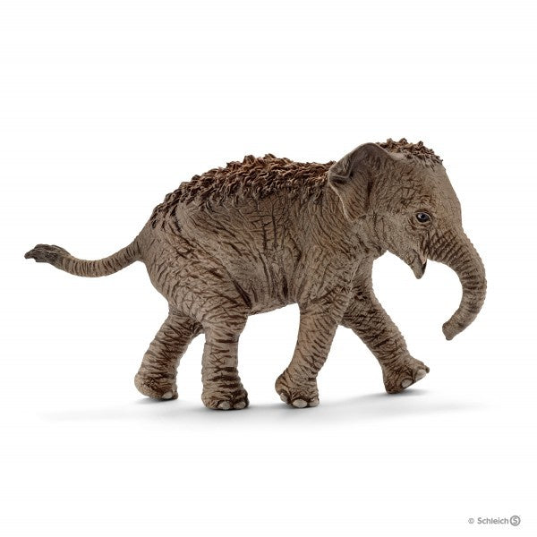 Schleich Asian Elephant Calf