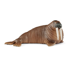 Schleich Walrus